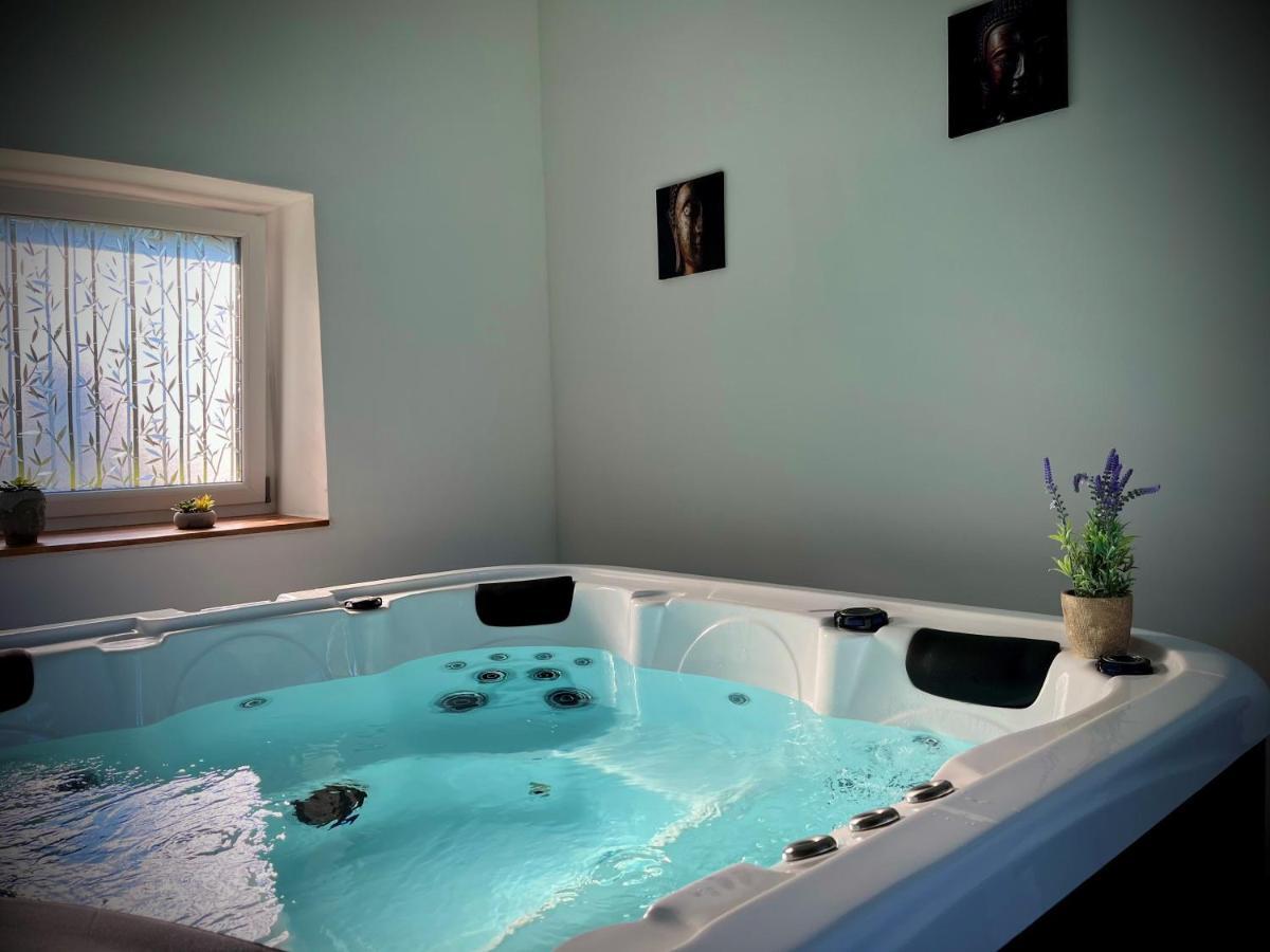Le Manoir Des Haies Spa Les Champs-Géraux Buitenkant foto