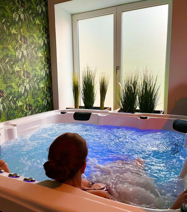 Le Manoir Des Haies Spa Les Champs-Géraux Buitenkant foto